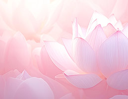 中国传统文化之佛法智慧1